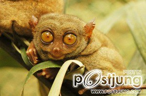 นางอาย !!!