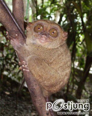 นางอาย !!!