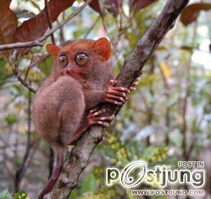 นางอาย !!!