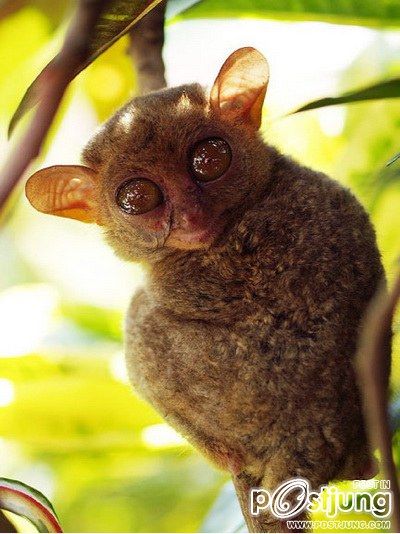 นางอาย !!!