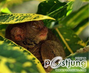 นางอาย !!!