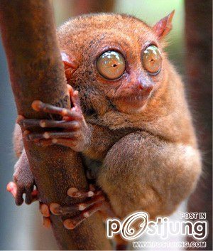 นางอาย !!!