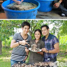 พอร์ช-ศรัณย์ ชวนตามรอย “หอยหอม” เงินแสน ใน “เส้นทางเศรษฐี...คู่ซี้พาตะลุย”