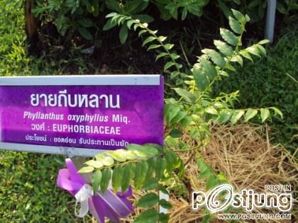 ตามปา้ยเลยคะ