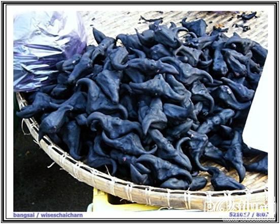 กระจับต้นสวยดี