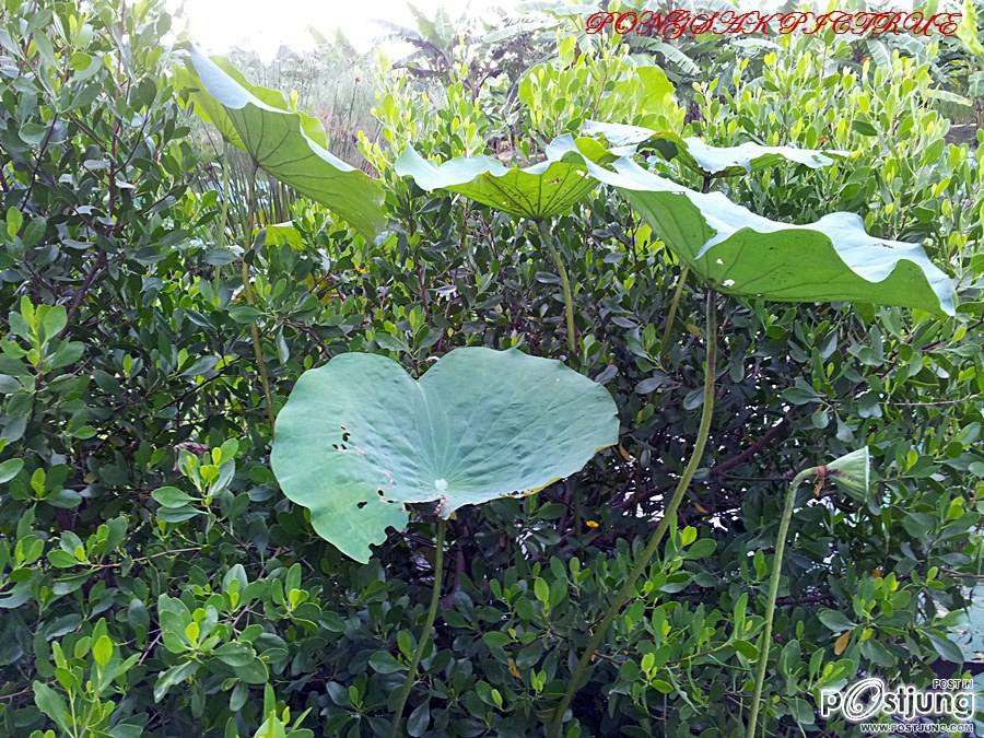 เย็นกายสบายใจ