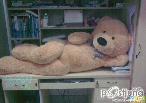 I Will Forget You ....