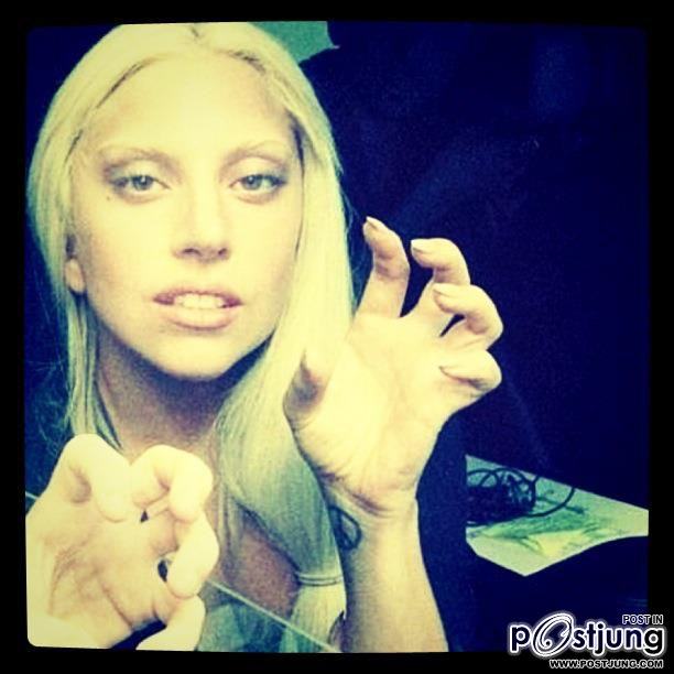 Paws up !!
