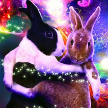 Ballroom Bunnies 2012 : rabbit to dance, super-cute