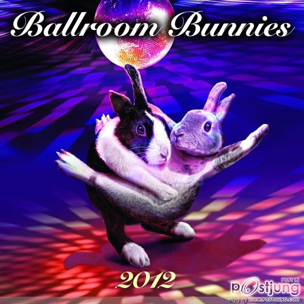 Ballroom Bunnies 2012 : rabbit to dance, super-cute