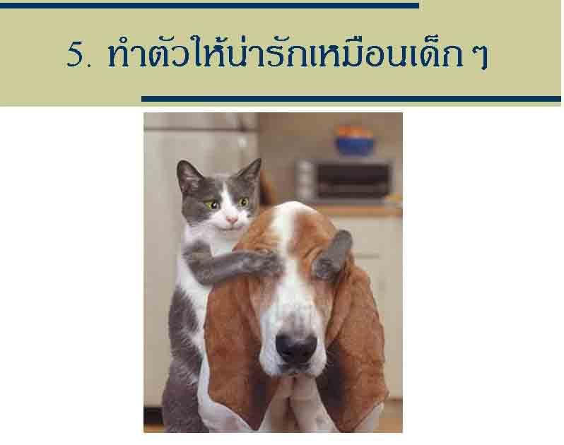 ทำอย่างไรให้ชีวิตมีความสุข