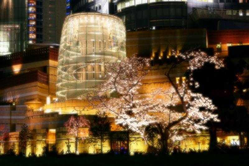 มุมสวยๆยามค่ำคืน