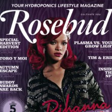 Rihanna ขึ้นหน้าปกนิตยสาร Rosebud! ติดตามภาพต่อไป