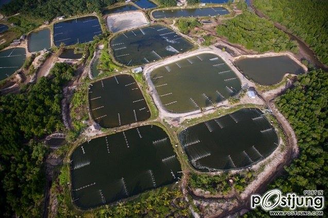 วิวมุมสูงของเมืองไทยที่สวยไม่แพ้เมืองไหนในโลก