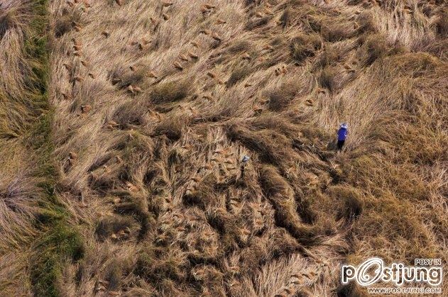 วิวมุมสูงของเมืองไทยที่สวยไม่แพ้เมืองไหนในโลก