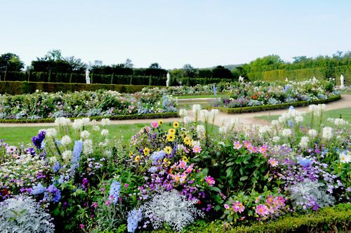 พระราชวังเเวร์ซาย (Versailles Palace)