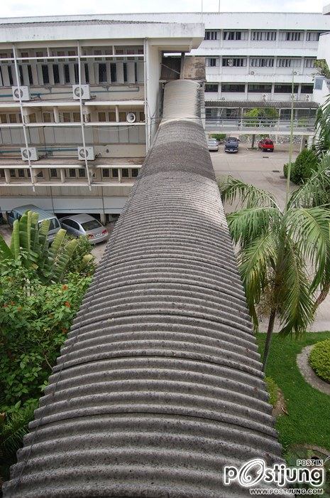 โรงเรียนพิบูลวิทยาลัย ลพบุรี