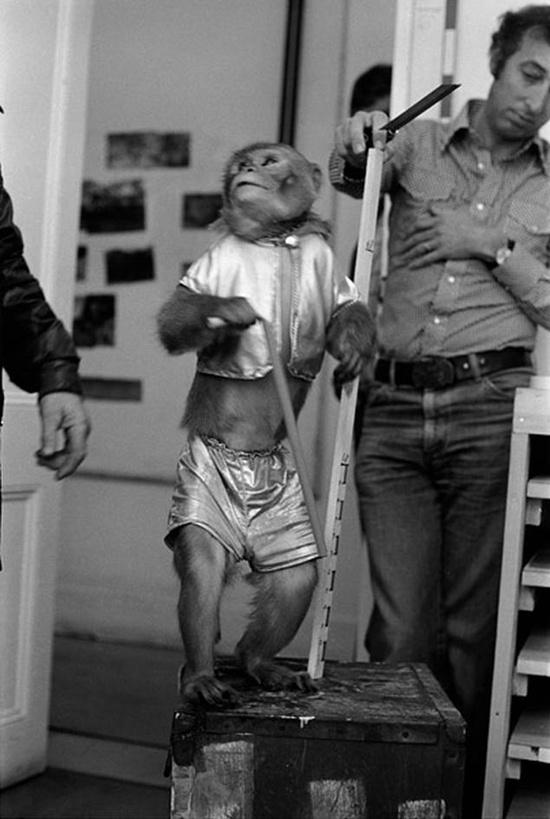 Princess Leia & Chewbacca @ Esquire Spain October 2011