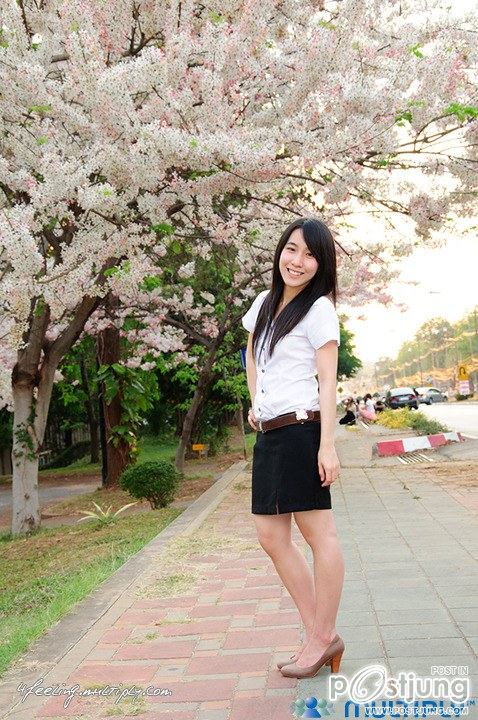 ดอกไม้บานที่ ม.ขอนแก่น