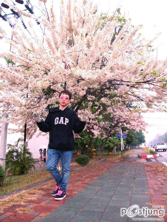 ดอกไม้บานที่ ม.ขอนแก่น