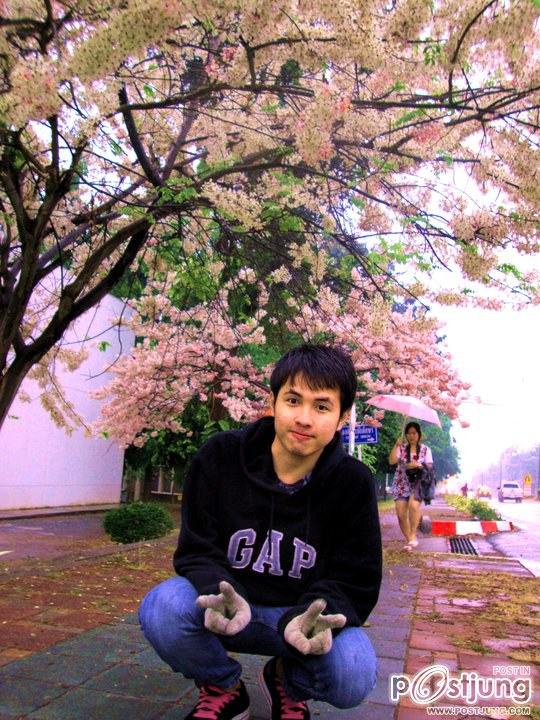ดอกไม้บานที่ ม.ขอนแก่น
