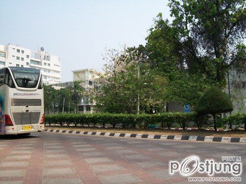 ดอกไม้บานที่ ม.ขอนแก่น