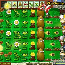 Plants vs. Zombies & Angry Birds