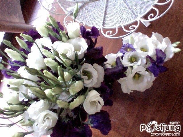 Lysianthus ดอกไม้คล้ายๆดอกกุหลาบ>.<