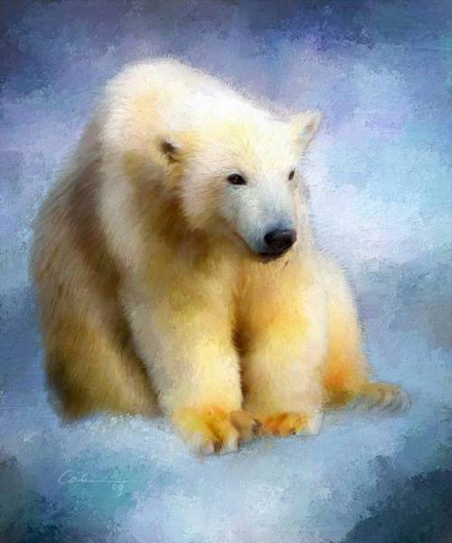 รวมภาพสัตว์สวยงามทั้งดุร้ายเเละน่ารักมาให้ดูคราบ