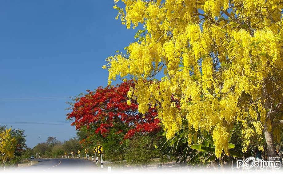ธรรมชาติข้างถนนไทยไม่แพ้ชาติใดในโลก เที่ยวไทยคะ>.<