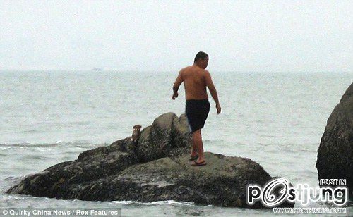 ช่วยลูกหมารอดตาย หลังหนุ่มใจโหดจับโยนลงทะเล