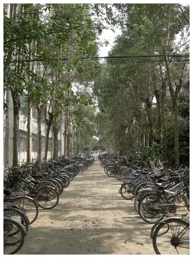 รร ที่คนไทยเชื้อสายจีนสร้างไว้