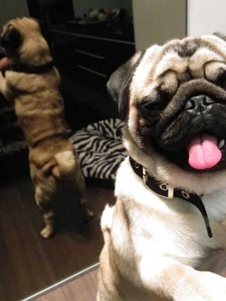 ภาพหลุดเป็นเหตุ! ชาวเน็ตแห่ถ่ายรูปล้อเลียนดาราสาว