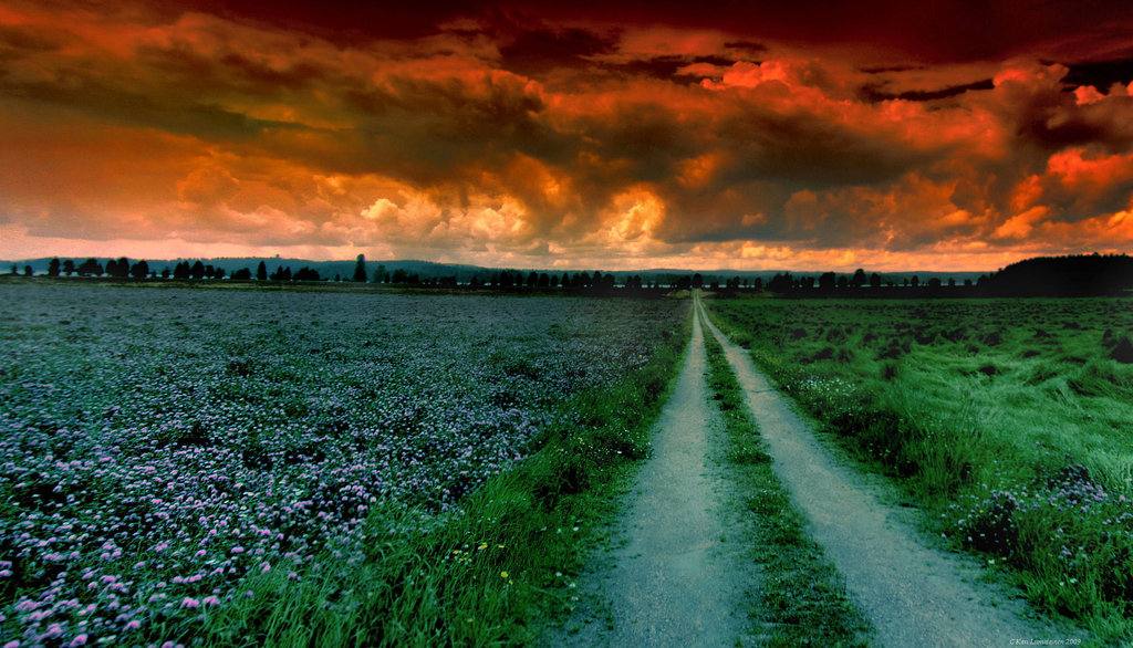 Field