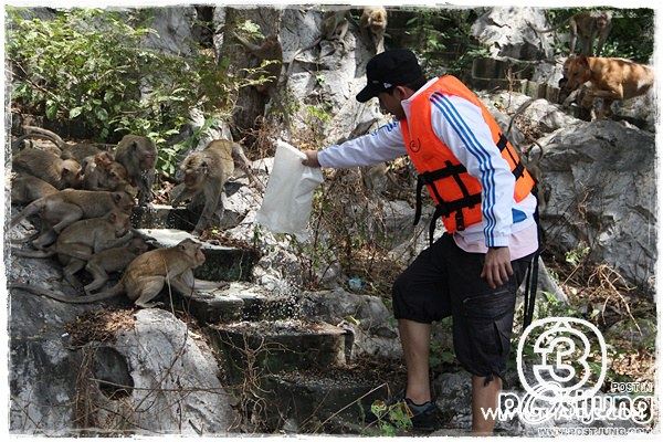 "พี่ป๋อ ณัฐวุฒิ"ขอควง"เอ๋ พรทิพย์" มาช่วยผู้ประสบอุทกภัยที่เทือกเขาสมอคอน