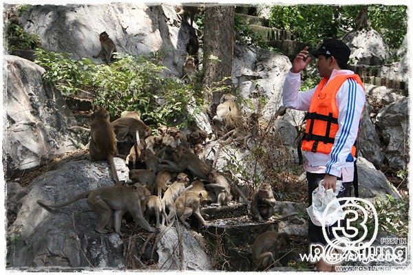 "พี่ป๋อ ณัฐวุฒิ"ขอควง"เอ๋ พรทิพย์" มาช่วยผู้ประสบอุทกภัยที่เทือกเขาสมอคอน