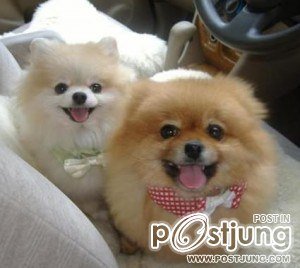 น่ารักๆๆๆๆๆ