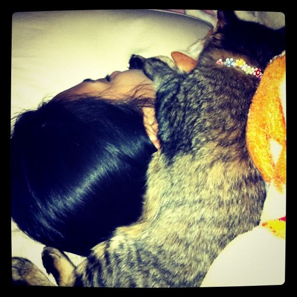 จั๊กจั่น & น้องแมวเหมียว