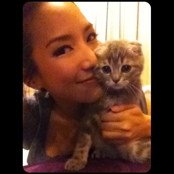 จั๊กจั่น & น้องแมวเหมียว