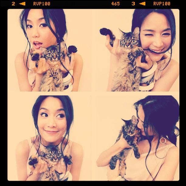 จั๊กจั่น & น้องแมวเหมียว