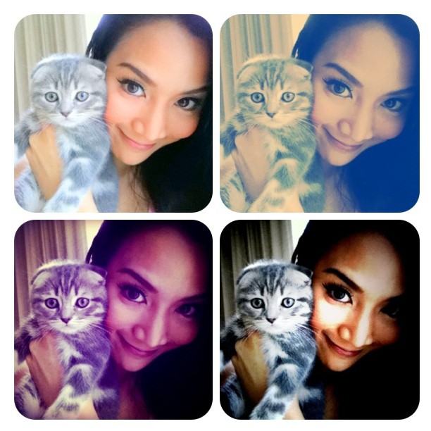 จั๊กจั่น & น้องแมวเหมียว