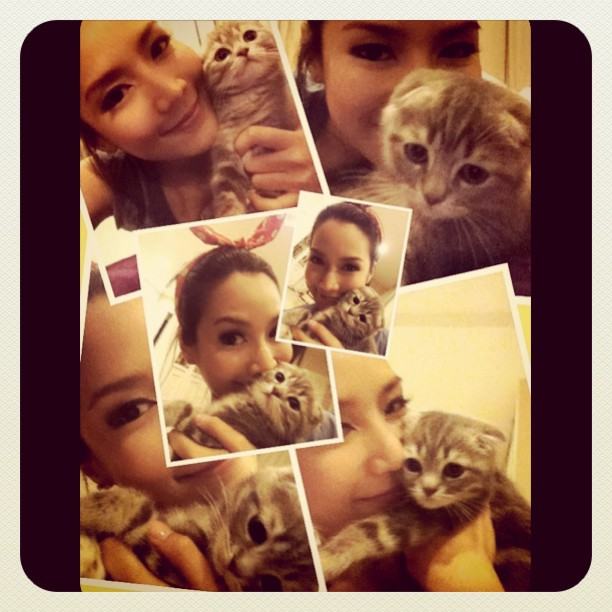 จั๊กจั่น & น้องแมวเหมียว