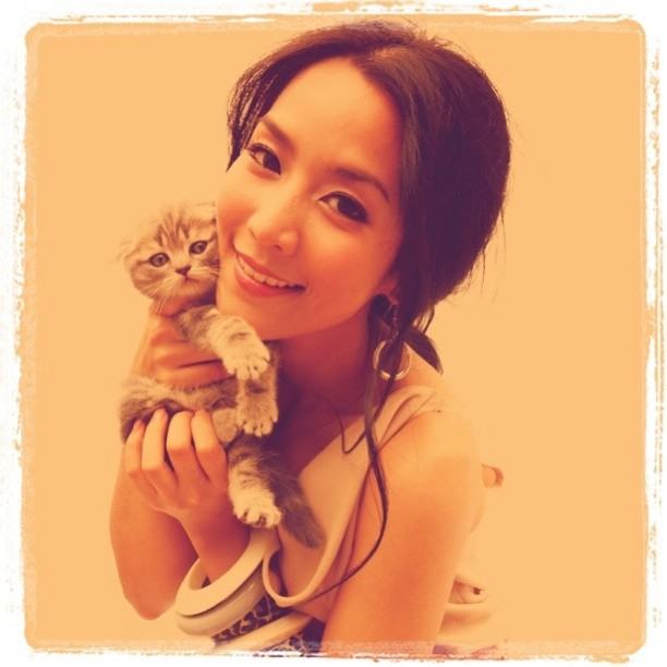 จั๊กจั่น & น้องแมวเหมียว