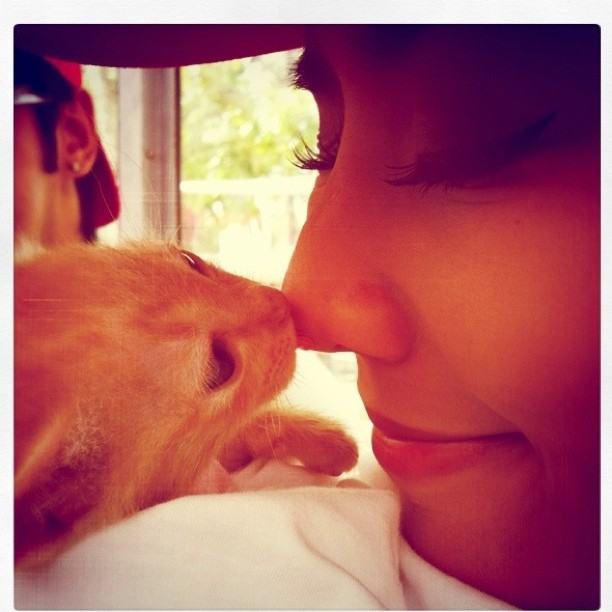 จั๊กจั่น & น้องแมวเหมียว