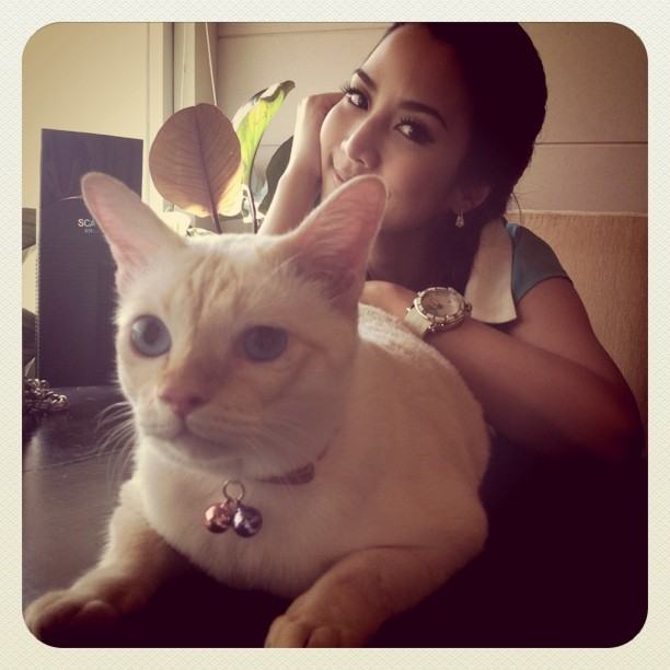 จั๊กจั่น & น้องแมวเหมียว