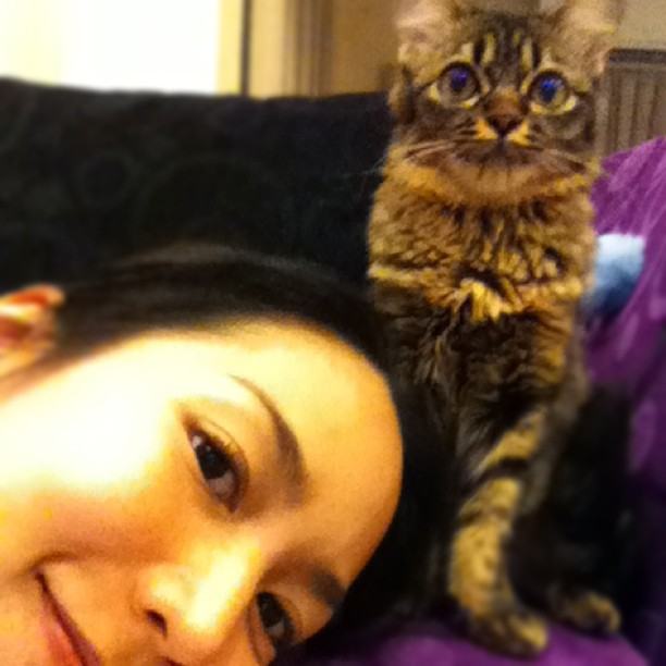 จั๊กจั่น & น้องแมวเหมียว