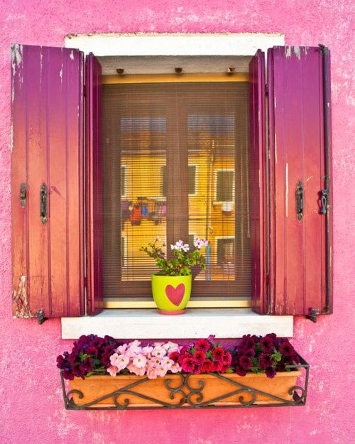 ภาพสวยๆ ของ "กำแพง ก้อนหิน ประตูและดอกไม้"