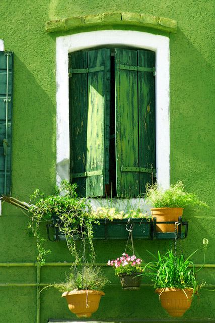 ภาพสวยๆ ของ "กำแพง ก้อนหิน ประตูและดอกไม้"