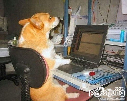 จริงไหม? เวลาสาวๆเล่นคอม มักจะเป็นแบบนี้ 18+ +++