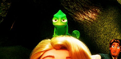 กิ้งก่าคาเมเลี่ยนจิ๋วน่ารักเเห่งดินเเดนมาดาร์กัสการ์